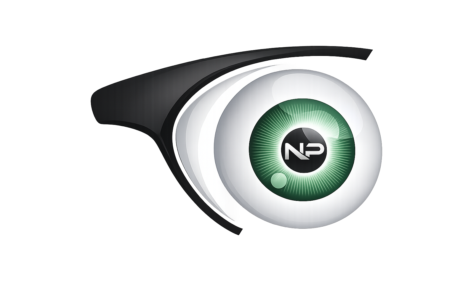 Nayan Preet Logo
